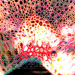 Sphenoid (clip)