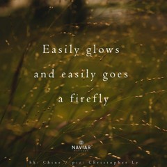 Firefly [naviarhaiku377]