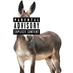 O PRÓPRIO BURRO