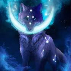Riding on the darkside of the moon with Moonwolf 174