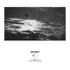 While Sun Waits