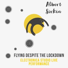 Flying despite the lockdown