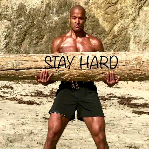 WHO GOING TO CARRY THE BOATS AND LOGS DAVID GOGGINS