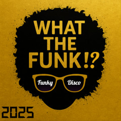 Funky House & Nu Disco Mix 2025 ⭐ What The FUNK?! (Gold Edition) ⭐ Crazibiza | DE SOFFER |