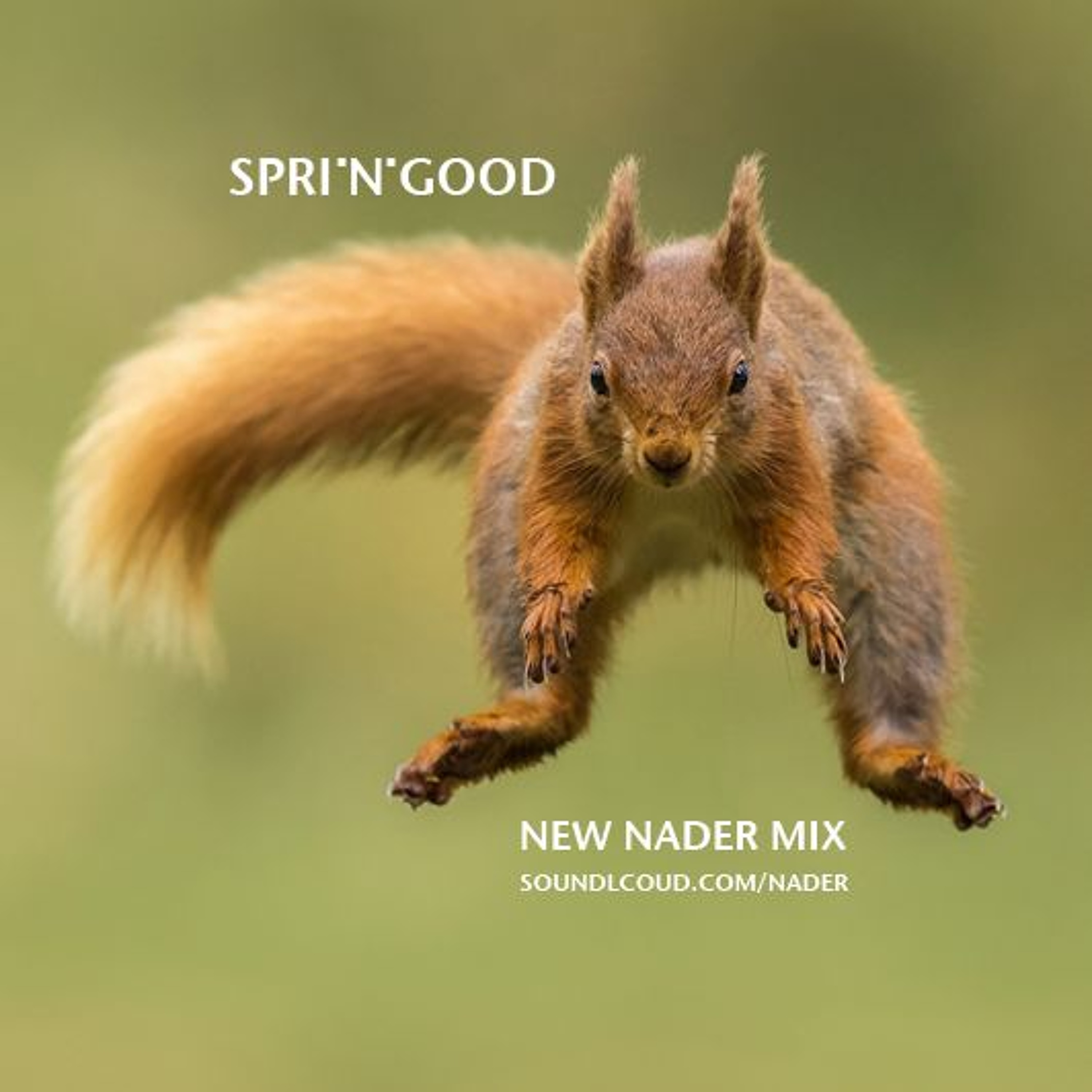 SPRI'N'GOOD episode artwork
