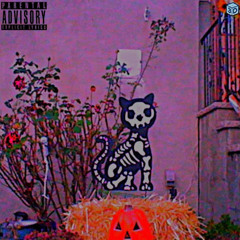 I'm so insane I need you