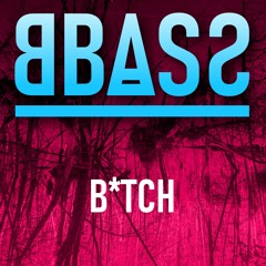 BBASS - BITCH (original mix) 2013