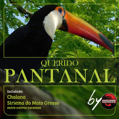 Stream Peao Carreiro E Ze Paulo  Listen to Coração Não Tem Porteira  playlist online for free on SoundCloud