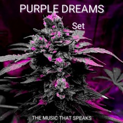 PURPLE DREAMS - SET REC-2025-11-14