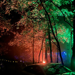 Boswachter 2023 - part 1