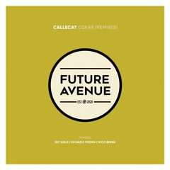 Callecat - Local Host (Ric Niels Remix) [Future Avenue]