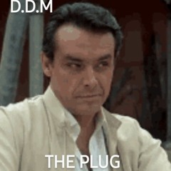 The Plug.mp3