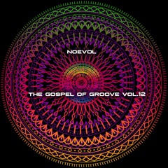 The Gospel of Groove by Noevol Vol.12