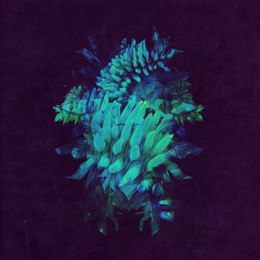 Vision (feat. Claire Laffut)