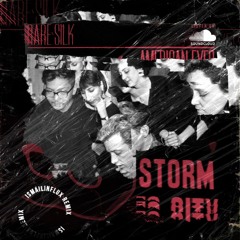 Rare Silk - Storm (Remix)