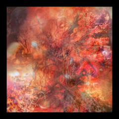 The Burning