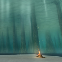 Bonfire Music