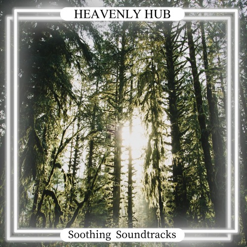 Stream Mindfulness for Life by Heavenly Hub | Listen online for free on ...