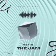 Pump up the jam ( Tech House Mix )