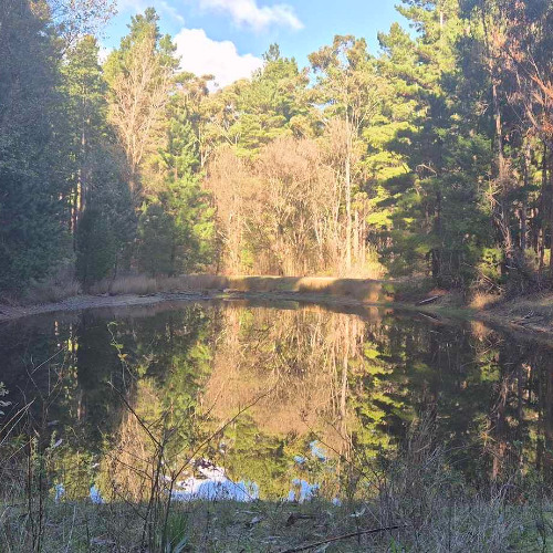 little lake -Part II