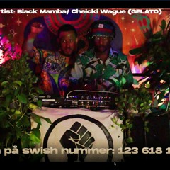 Side B:  Black Mamba BLM MIX