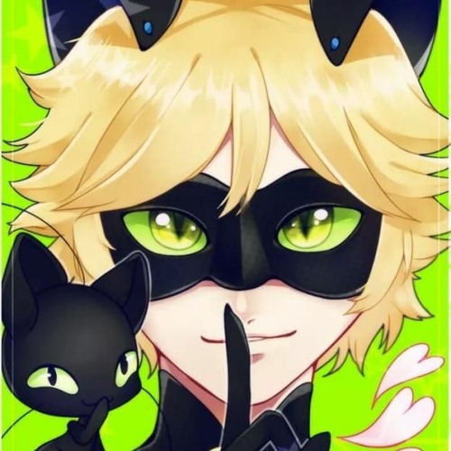 Little Kitty On A Roof  The Cat And The Moon  - Chat Blanc (Moface and Connor Terrell)
