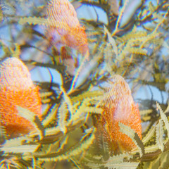 5. IKSRE - lake cave (last winter's rain)