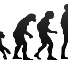 Progressively Evolving