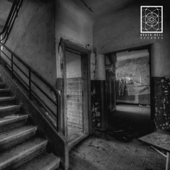 Distorted Anima - 111111