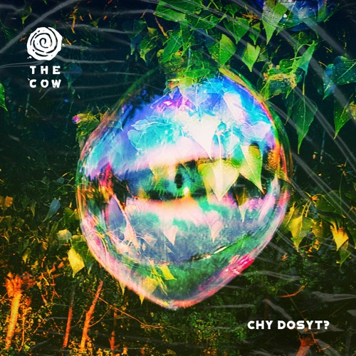 The cow - Chy Dosyt