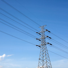 Clare MEP Warns Govt To Prepare For "Massive Food Increases"