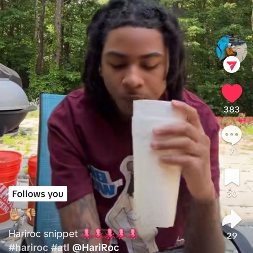 hariroc - period (snippet)