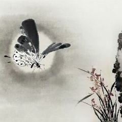 须尽欢 (Tu Tận Hoan) - 郑浩 (Trịnh Hạo)