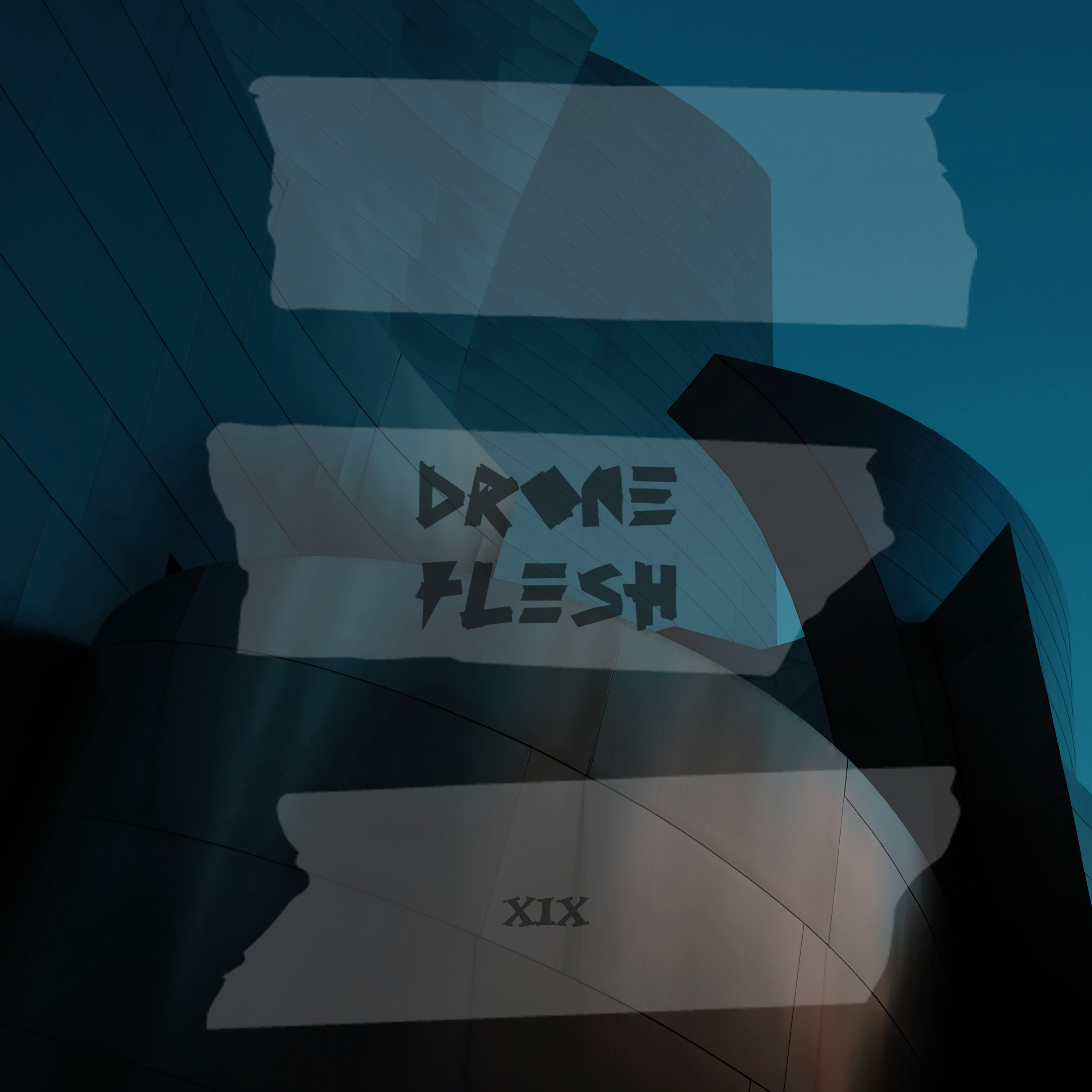 Drone Flesh
