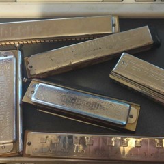 The Hippy Dippy - Tribute to the Harmonikings