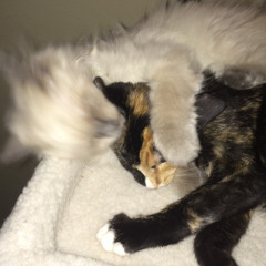 What time signature is this