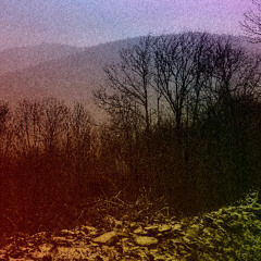 MrNup - (LaMeNt)alFloW