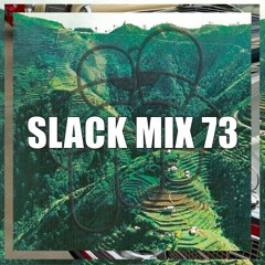 SLACK MIX 73