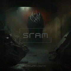 SRAM - NEUROMATIX
