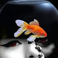 Awesome Pop & Easy Listening Songs
