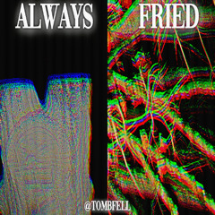 ALWAYS FRIED PROD SOURR