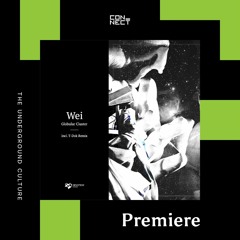 PREMIERE: Wei - Globular Cluster [Devotion Records]