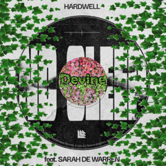 Hardwell - No Sleep(Devine Remix)