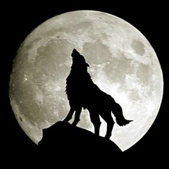 Full Wolf Moon ©2021