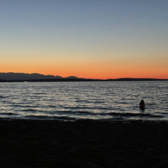 Life's a beach