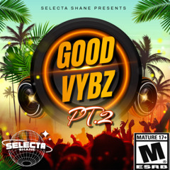 GOOD VYBZ PT.2 (THE MIX) | Selecta Shane | DANCEHALL MIX