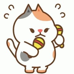 Cat Dance