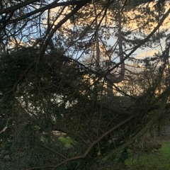 Then Is Always w/ Happa & Jabes - March 2022