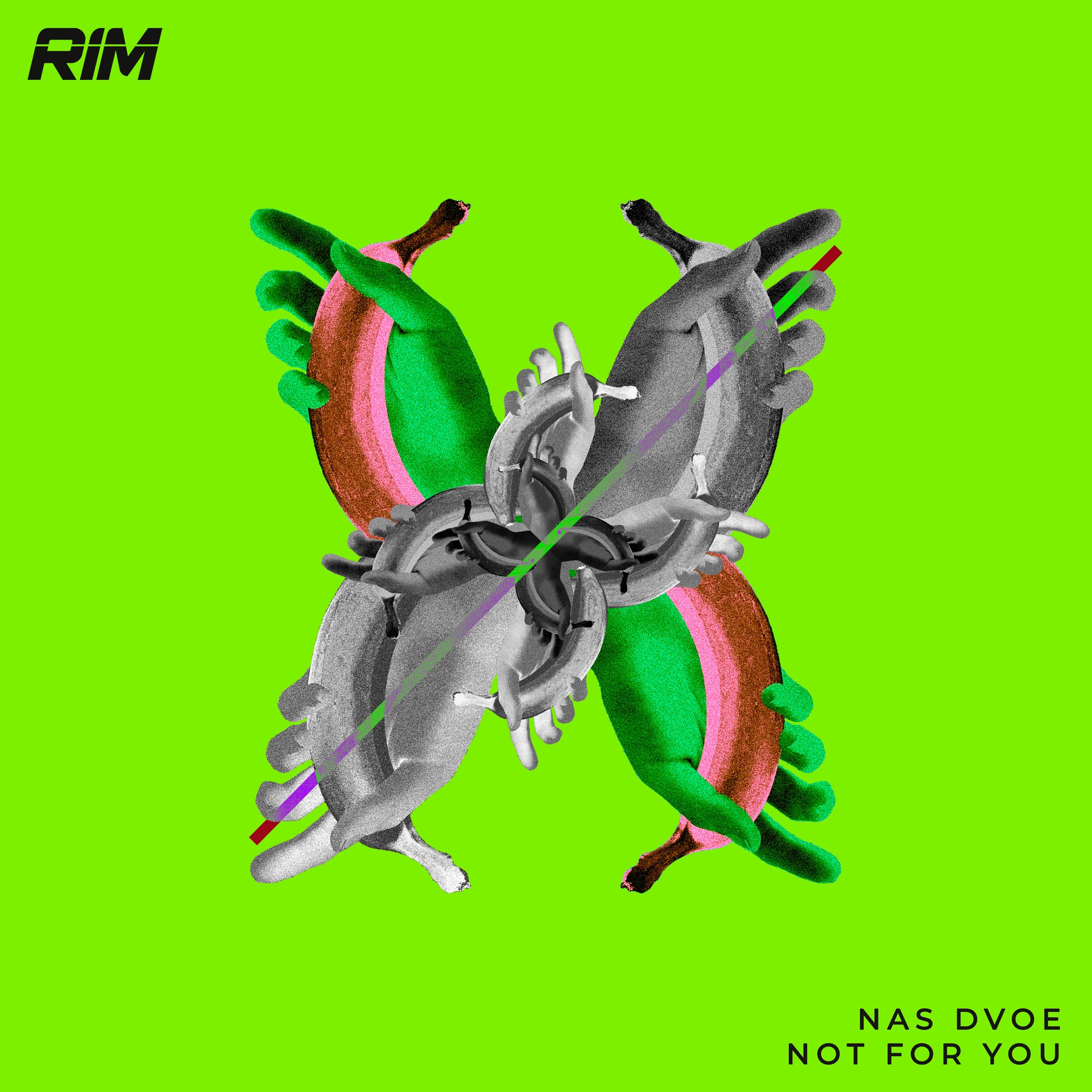Nas Dvoe - Not For You  (Original Mix)[RIM] // Tech House Premiere episode artwork