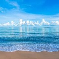 Andrw Flamez - OCARINA